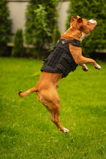 Шлейка тактическая средняя Sturmdog, Black