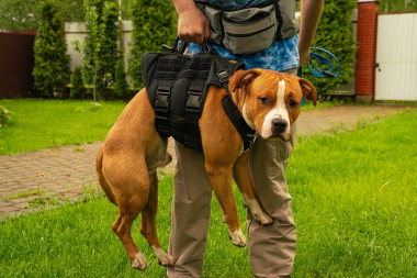 Шлейка тактическая средняя Sturmdog, Black