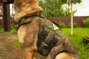 Шлейка тактическая средняя Sturmdog, Ranger Green