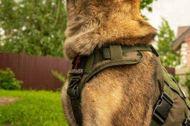 Шлейка тактическая средняя Sturmdog, Ranger Green
