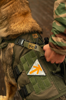 Шлейка тактическая средняя Sturmdog, Ranger Green