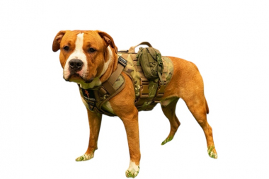 Шлейка тактическая средняя Sturmdog, Multicam