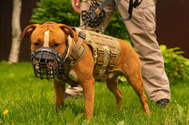 Шлейка тактическая средняя Sturmdog, Multicam