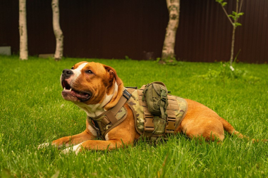 Шлейка тактическая средняя Sturmdog, Multicam