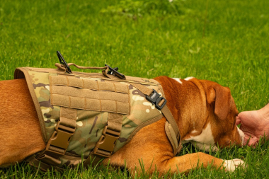 Шлейка тактическая средняя Sturmdog, Multicam