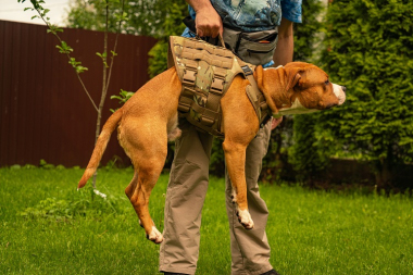 Шлейка тактическая средняя Sturmdog, Multicam