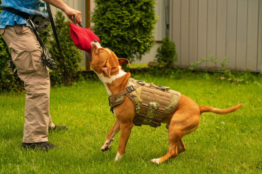 Шлейка тактическая средняя Sturmdog, Multicam