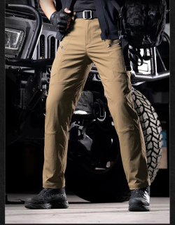 Брюки Dragon Tooth ZF Battle Front, Brown