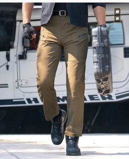 Брюки Dragon Tooth ZF Battle Front, Brown