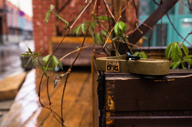 Поводок Sturmdog, Coyote L