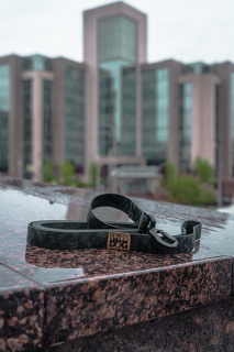 Поводок Sturmdog, Black L