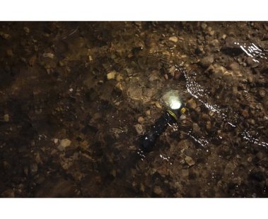 Фонарь Armytek Elf C2 Max USB-C, белый свет