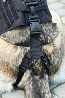 Шлейка тактическая, защитная SturmDog с баллистикой, Black