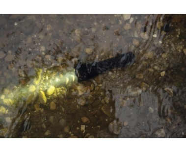 Фонарь Armytek Predator, белый свет