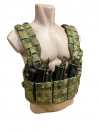 Жилет разгрузочный T-Armis Лего-5+ MOLLE, A-Tacs FG