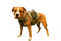 Шлейка тактическая средняя Sturmdog, Multicam